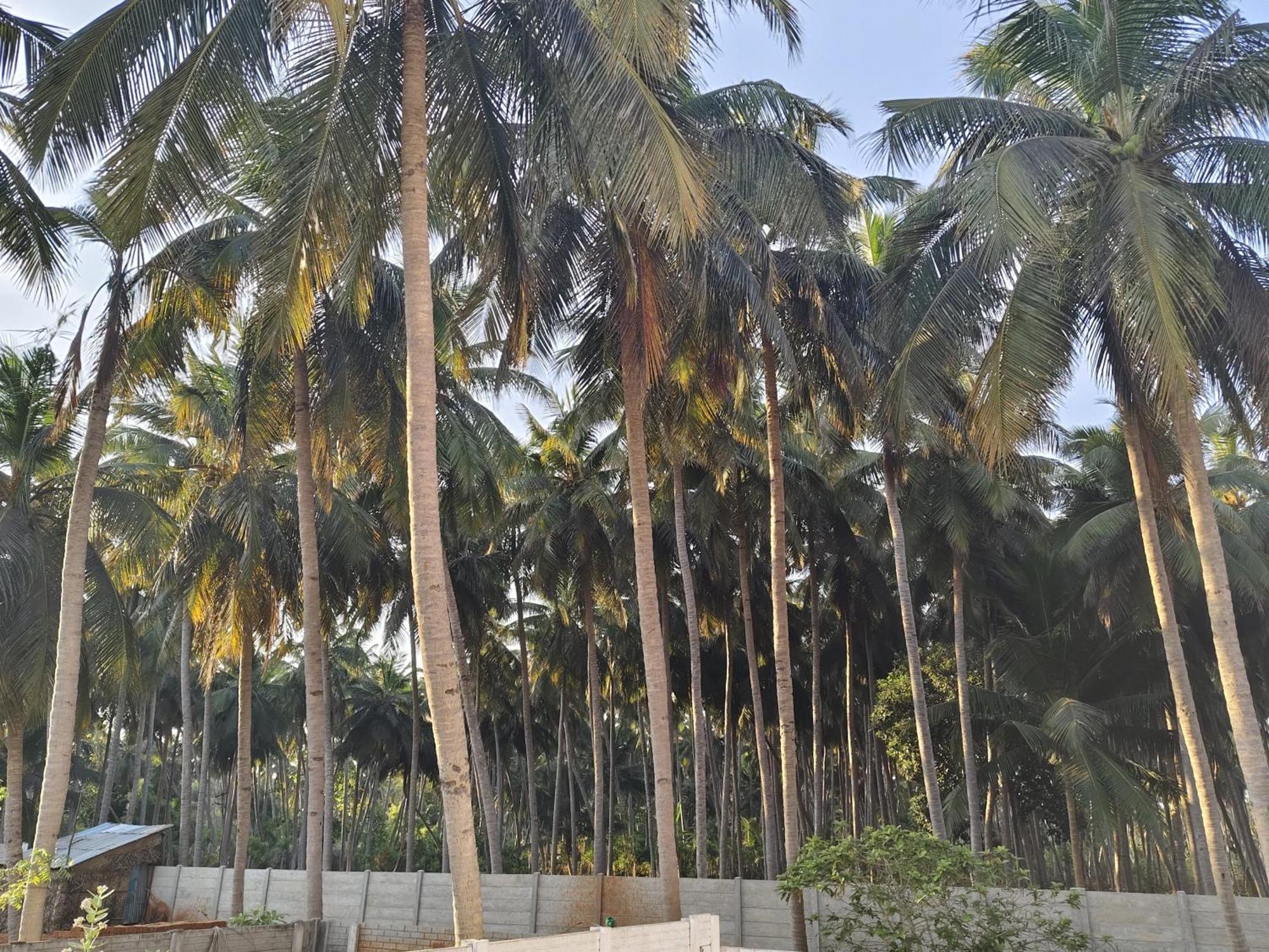 Gratitude Inn, Near Serenity Beach Puducherry Exterior foto
